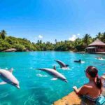 Dolphin Cove Jamaica
